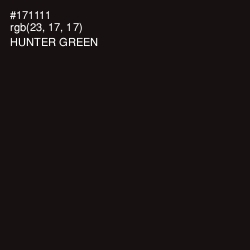 #171111 - Hunter Green Color Image